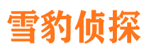 石峰市场调查